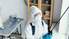 Experienced Pest Control Team